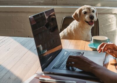 WordPress hjemmeside: Den ultimative guide til at komme i gang